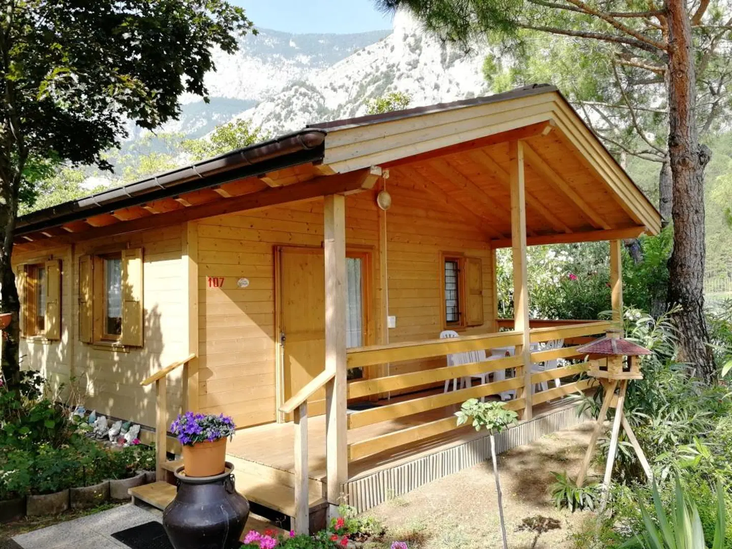 Camping Daino EXTERIOR