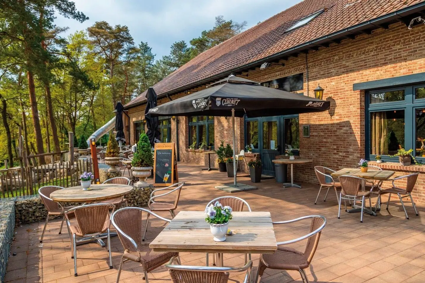 EuroParcs Hoge Kempen Terrasse