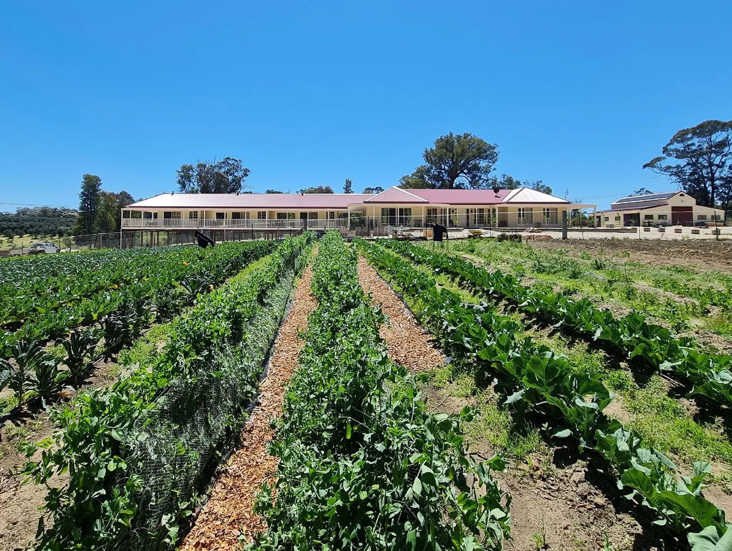Canyonleigh Retreat LANDSCAPE
