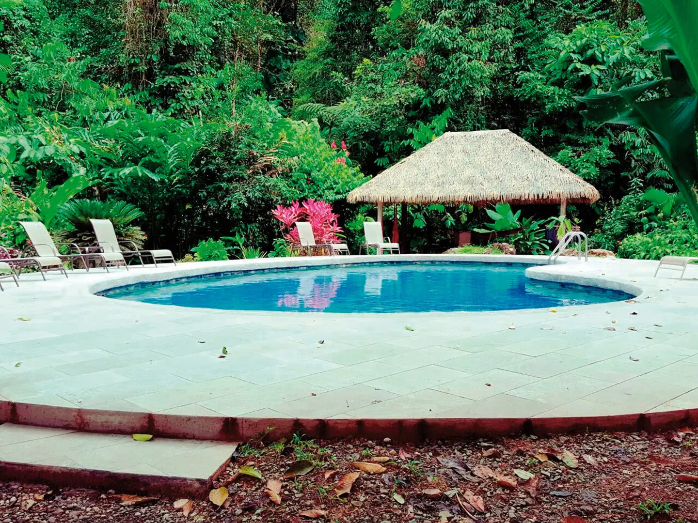 Esquinas Rainforest Lodge OUTDOOR_POOL