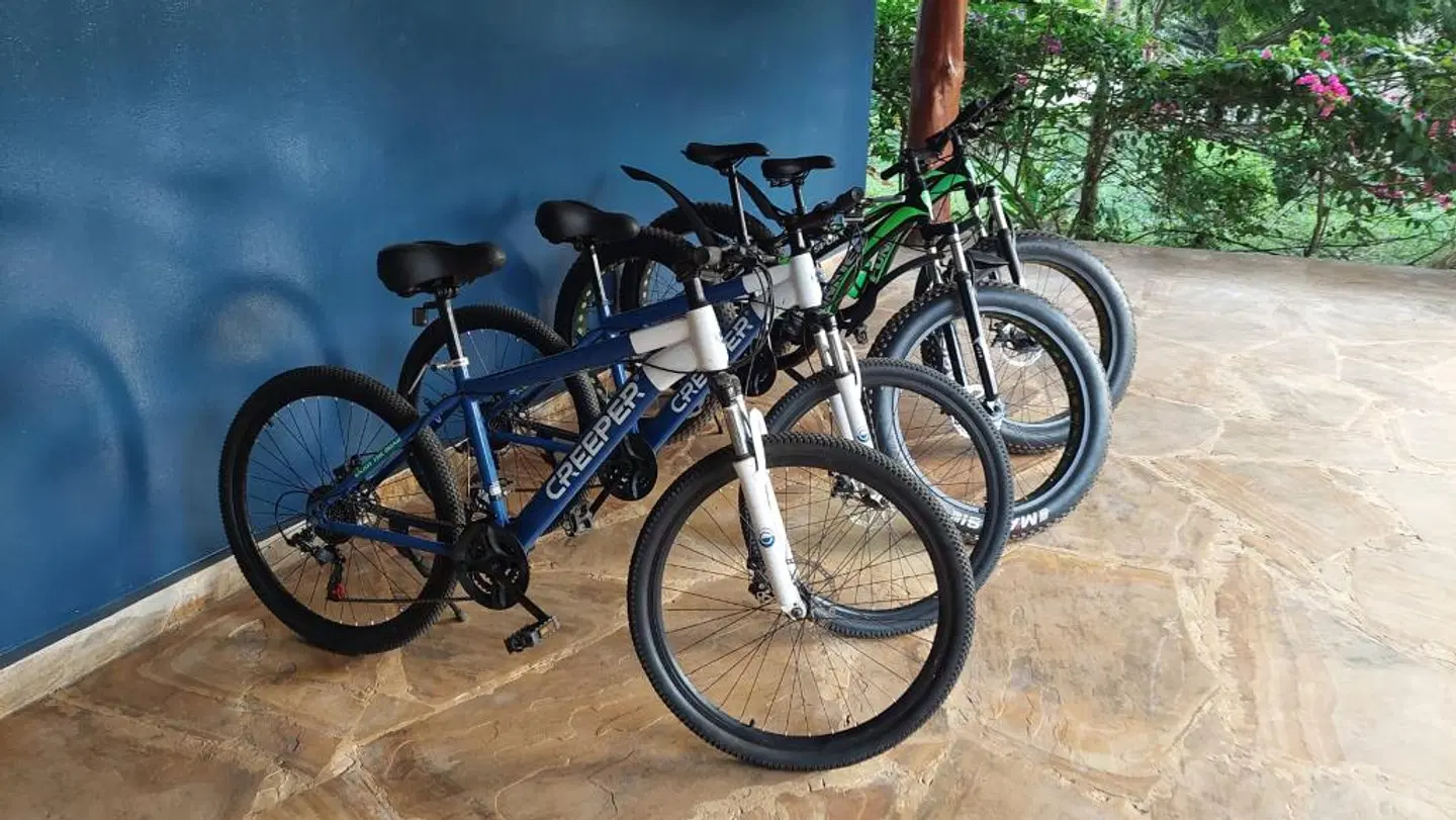 Maharaja Boutique Hotel SPORTS_AND_LEISURE