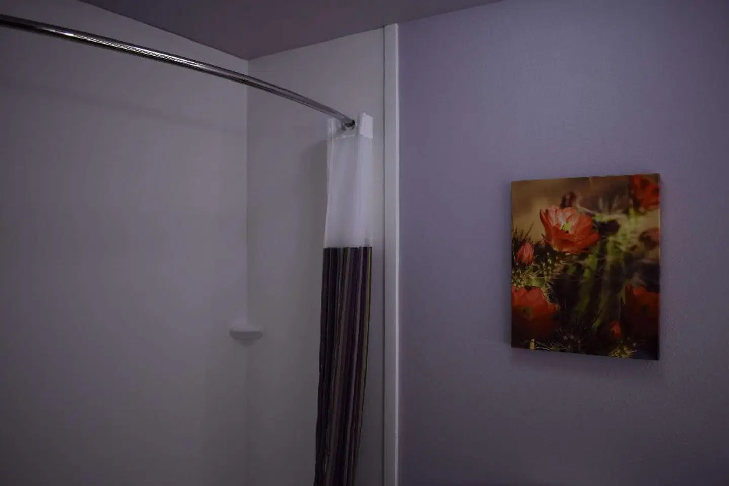 La Quinta Inn & Suites by Wyndham Flagstaff East I-40 ROOM_EXAMPLE