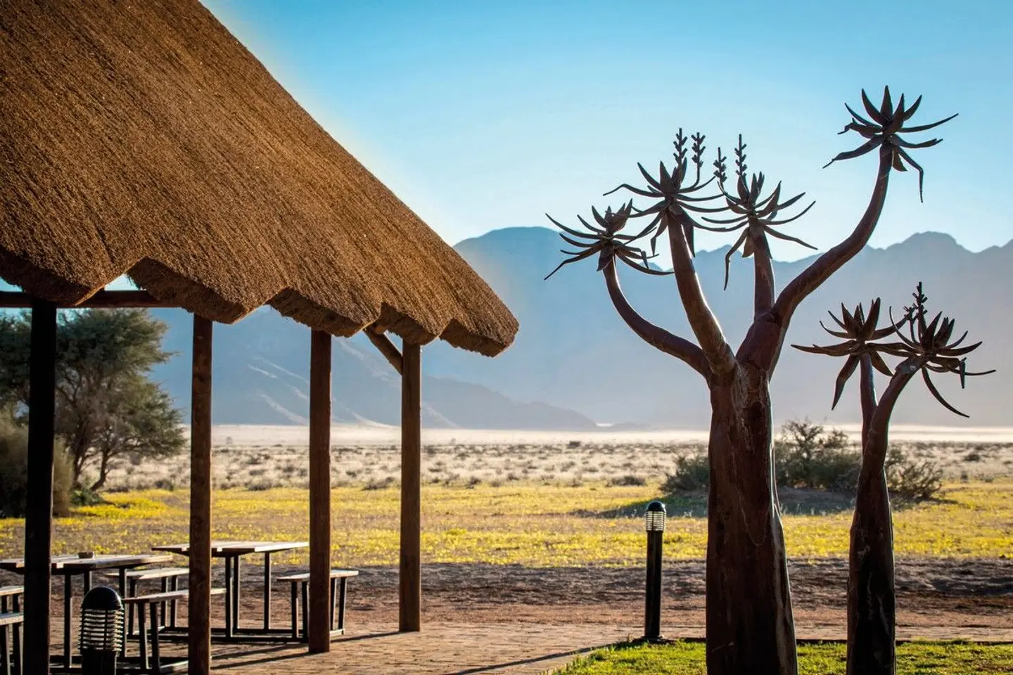 Desert Camp LANDSCAPE