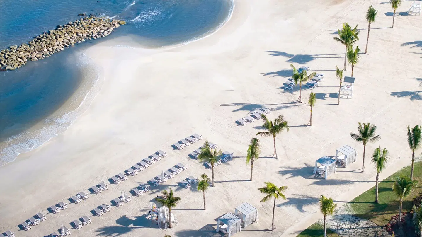 Princess Senses the Mangrove EXTERIOR