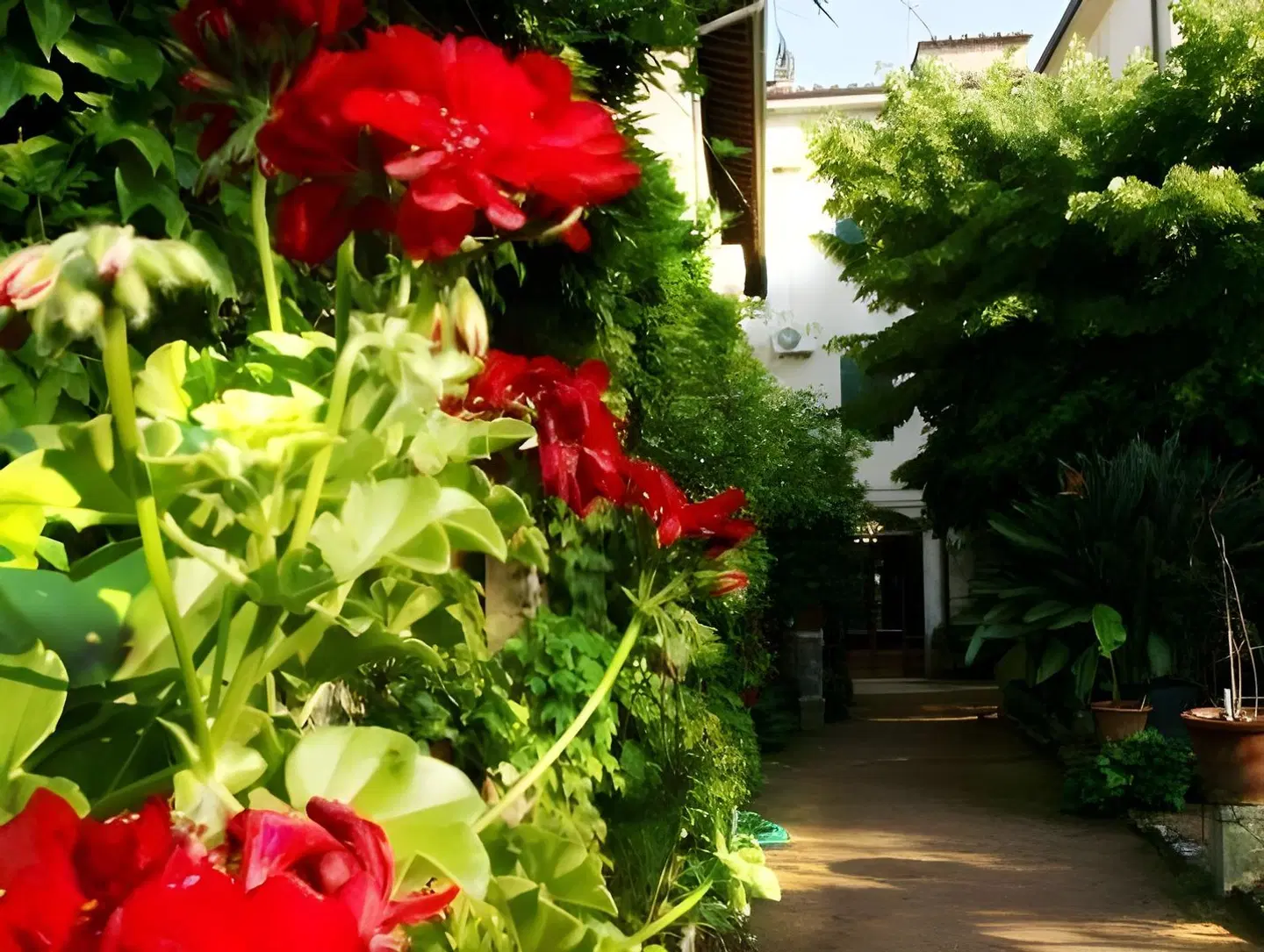 Albergo Stella Garten