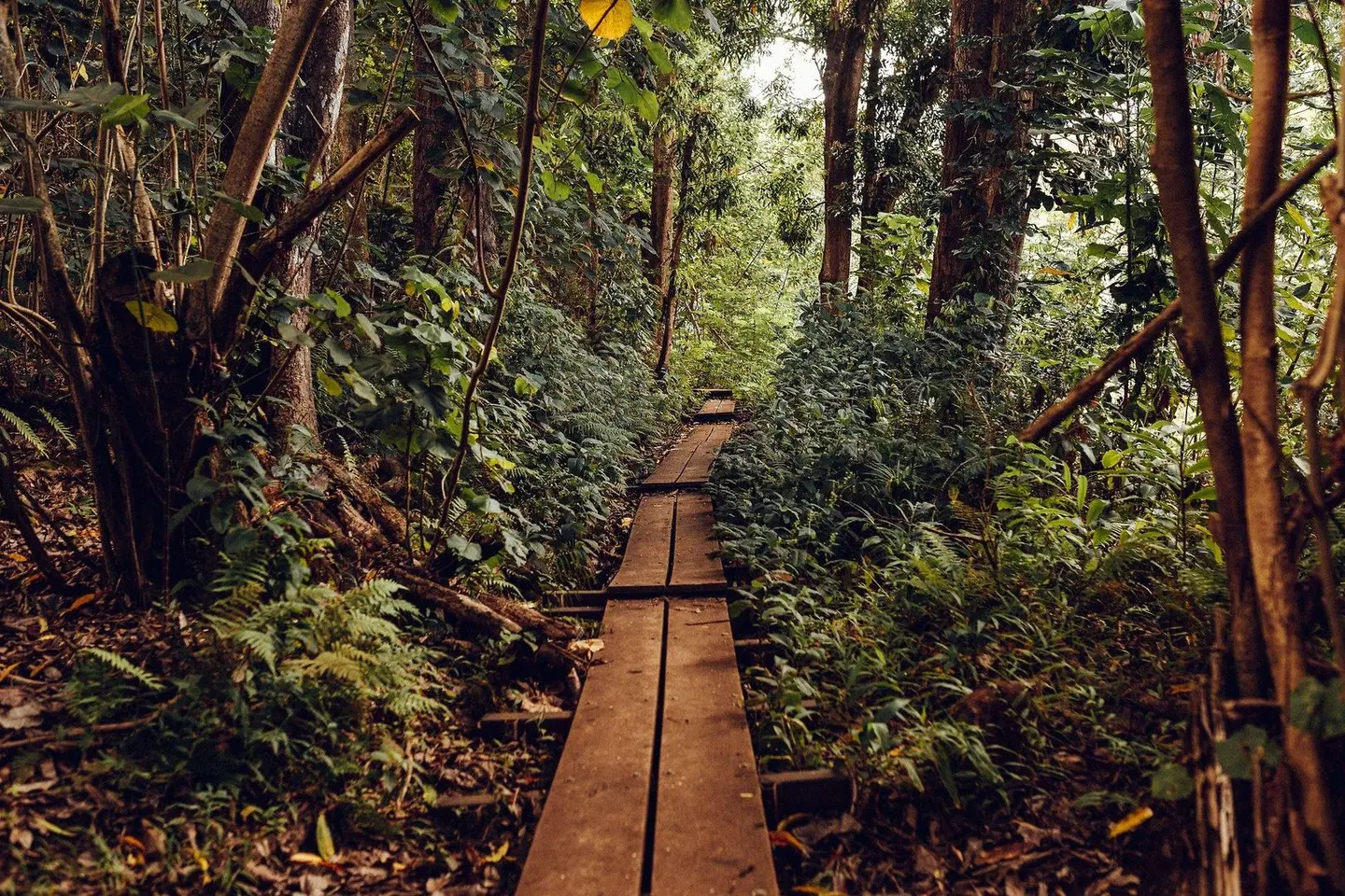 Banyan Harbor Garten
