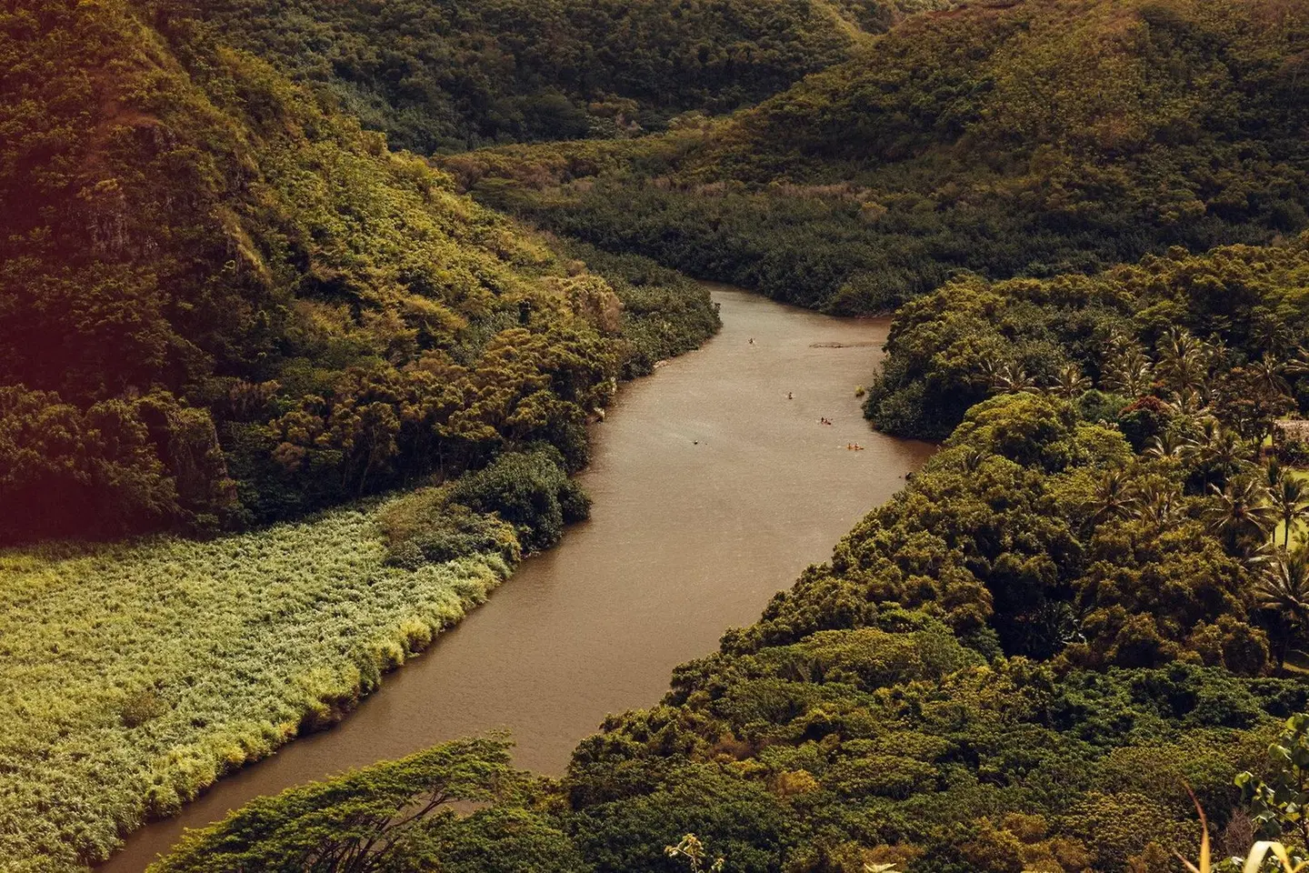 Banyan Harbor LANDSCAPE