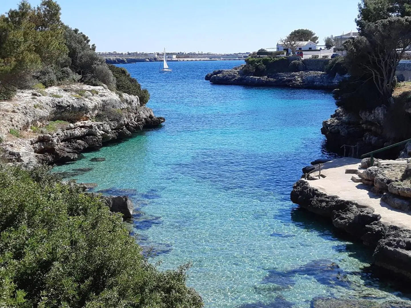 Yucas Homes LANDSCAPE