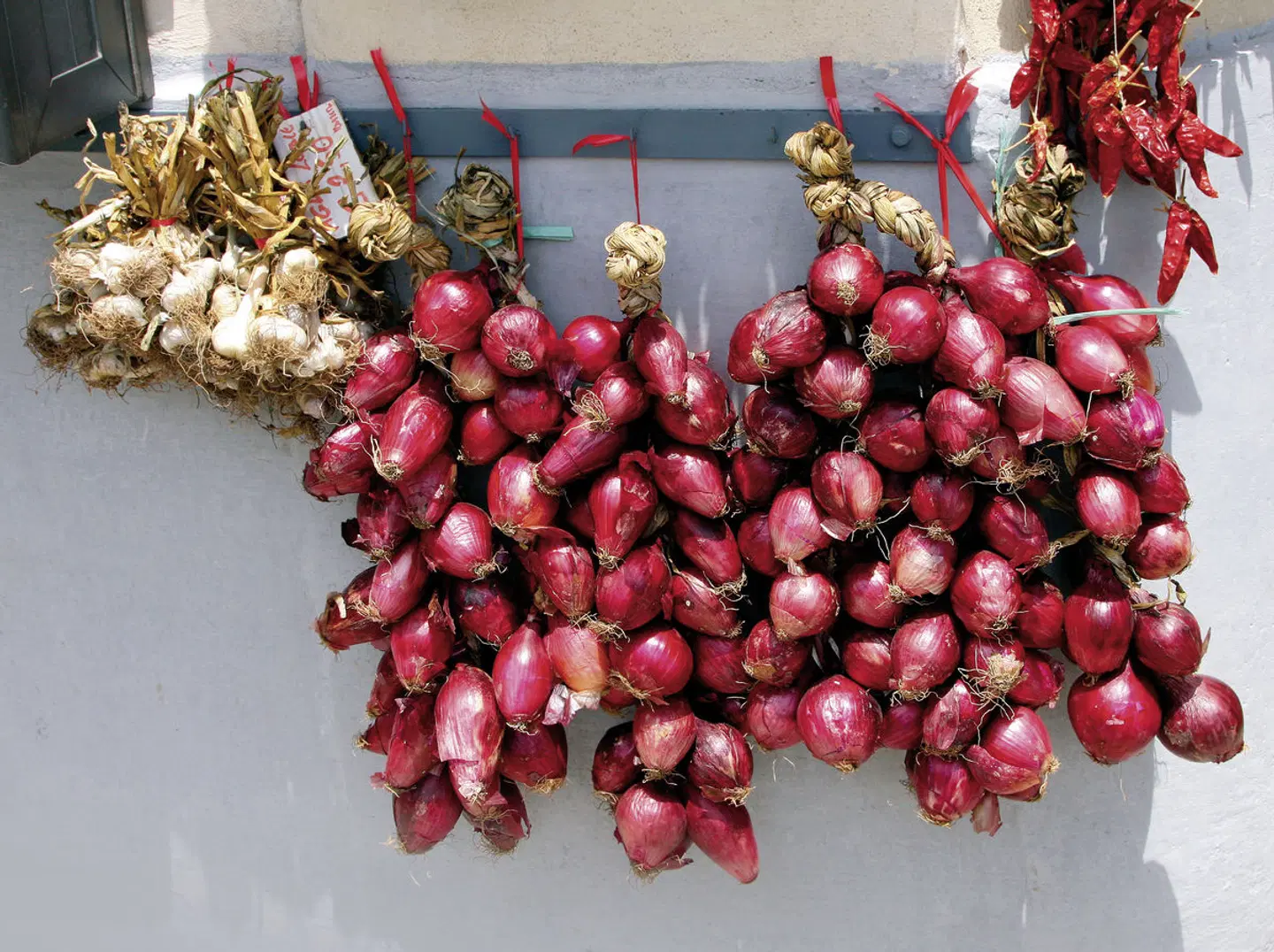 Hotel Costa degli Dei LANDSCAPE