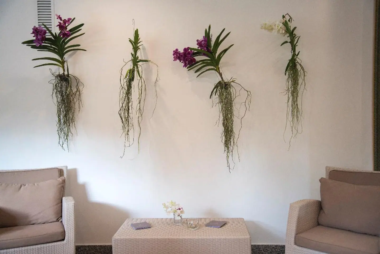 Riva Del Sole ROOM_EXAMPLE