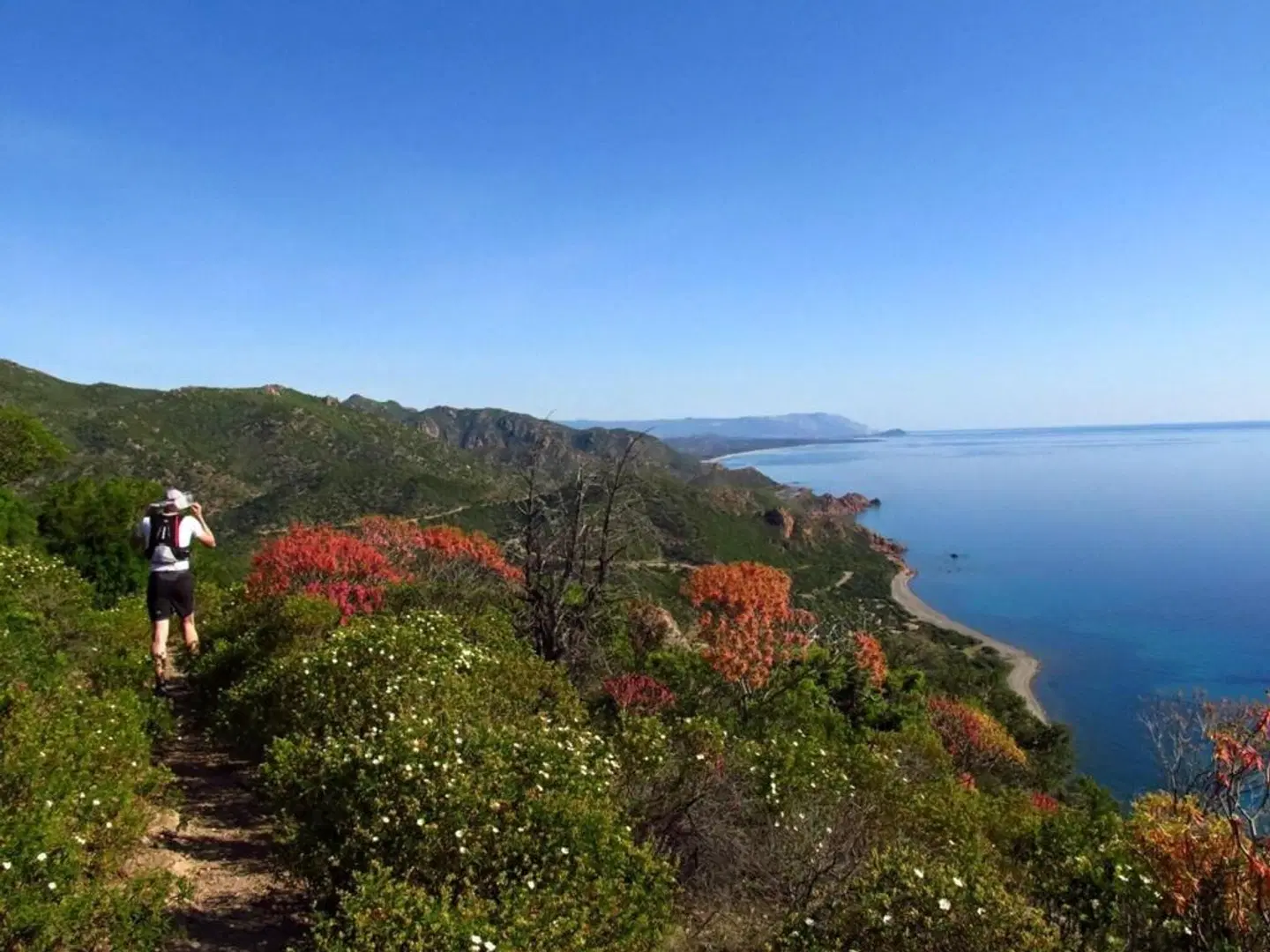 Sardegna Hotel LANDSCAPE