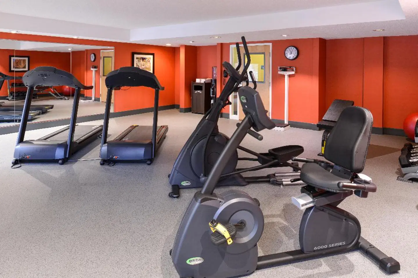 Holiday Inn Express Clearwater East - Icot Center SPORTS_AND_LEISURE