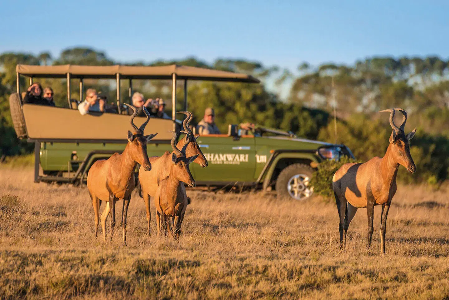 Sarili Private Lodge Tiere