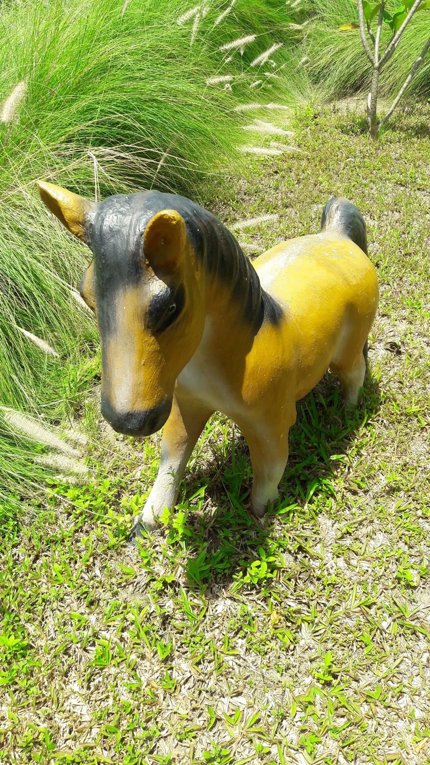 Chaweng Noi Pool Villa Tiere