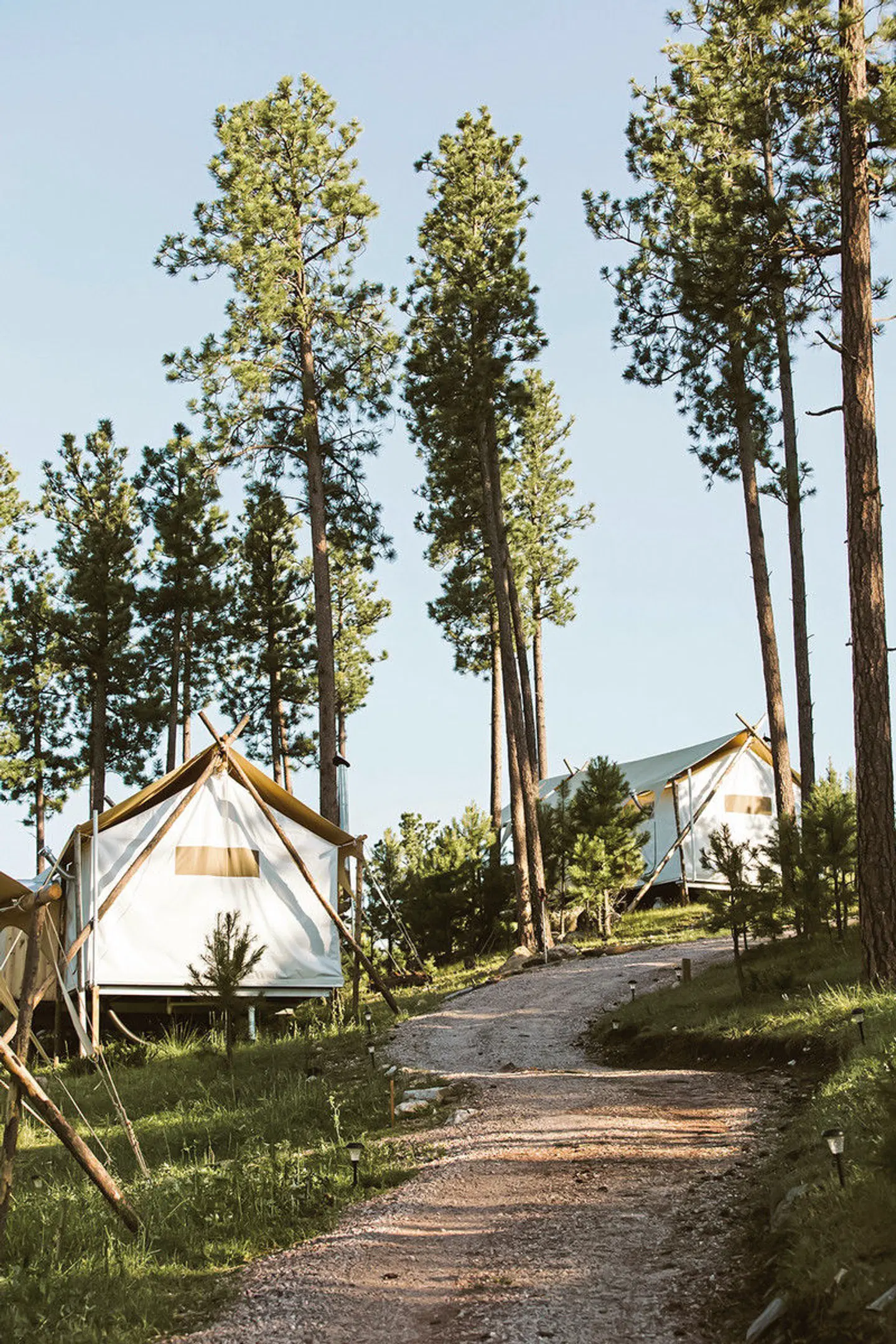 Under Canvas Mount Rushmore Garten