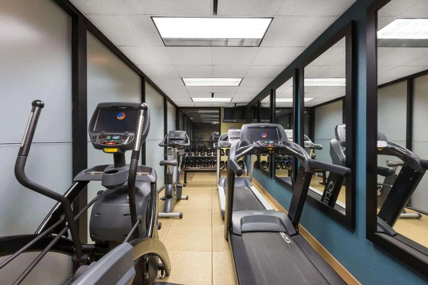 Wyndham New Orleans - French Quarter SPORTS_AND_LEISURE