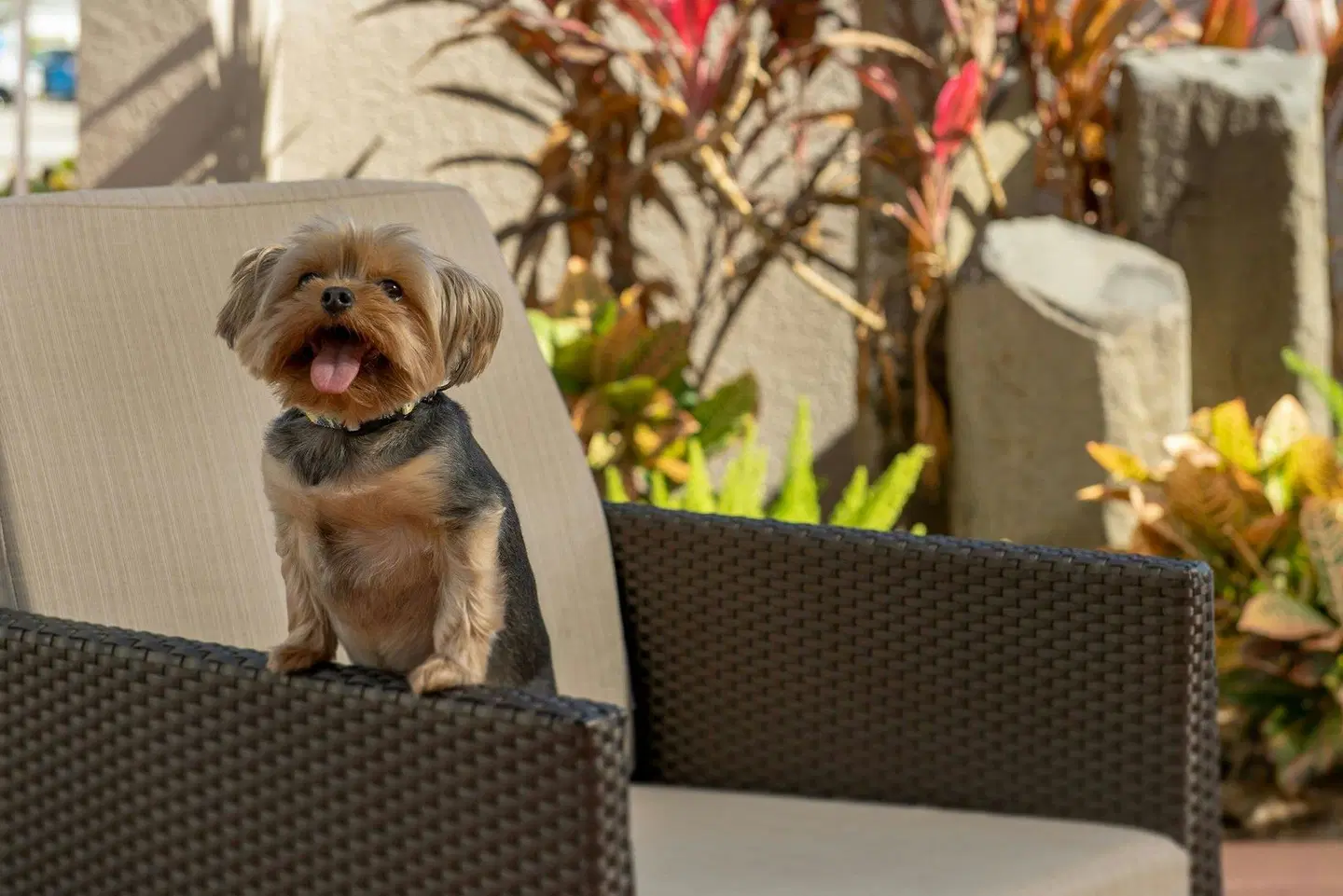 Residence Inn by Marriott Fort Lauderdale Airport & Cruise Port PEOPLE