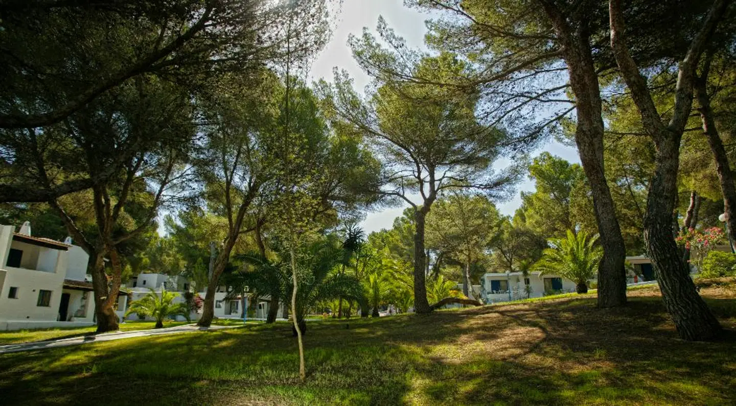 Insotel Club Maryland LANDSCAPE