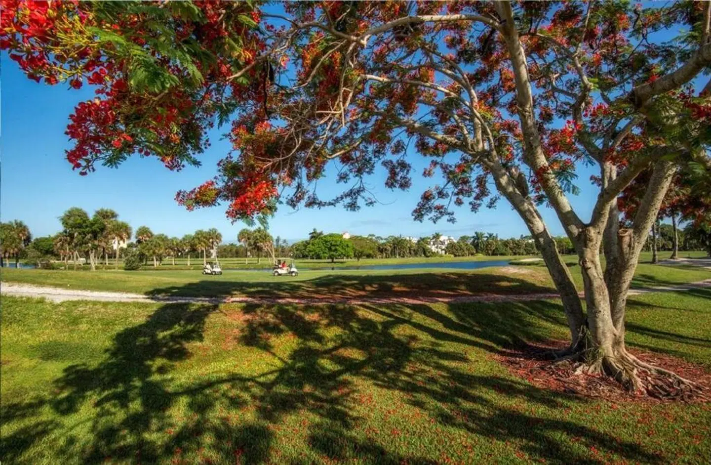 Naples Beach Hotel and Golf Club LANDSCAPE