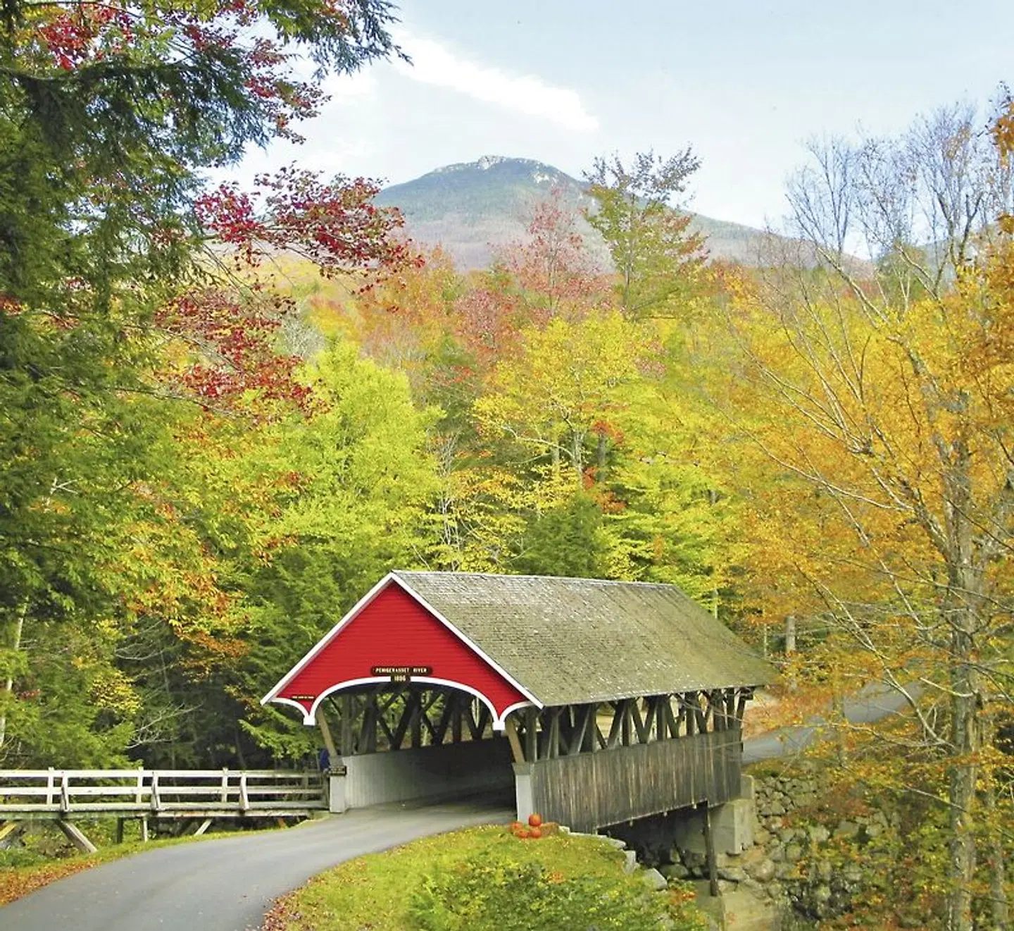 Faszinierende Ostküste Garten