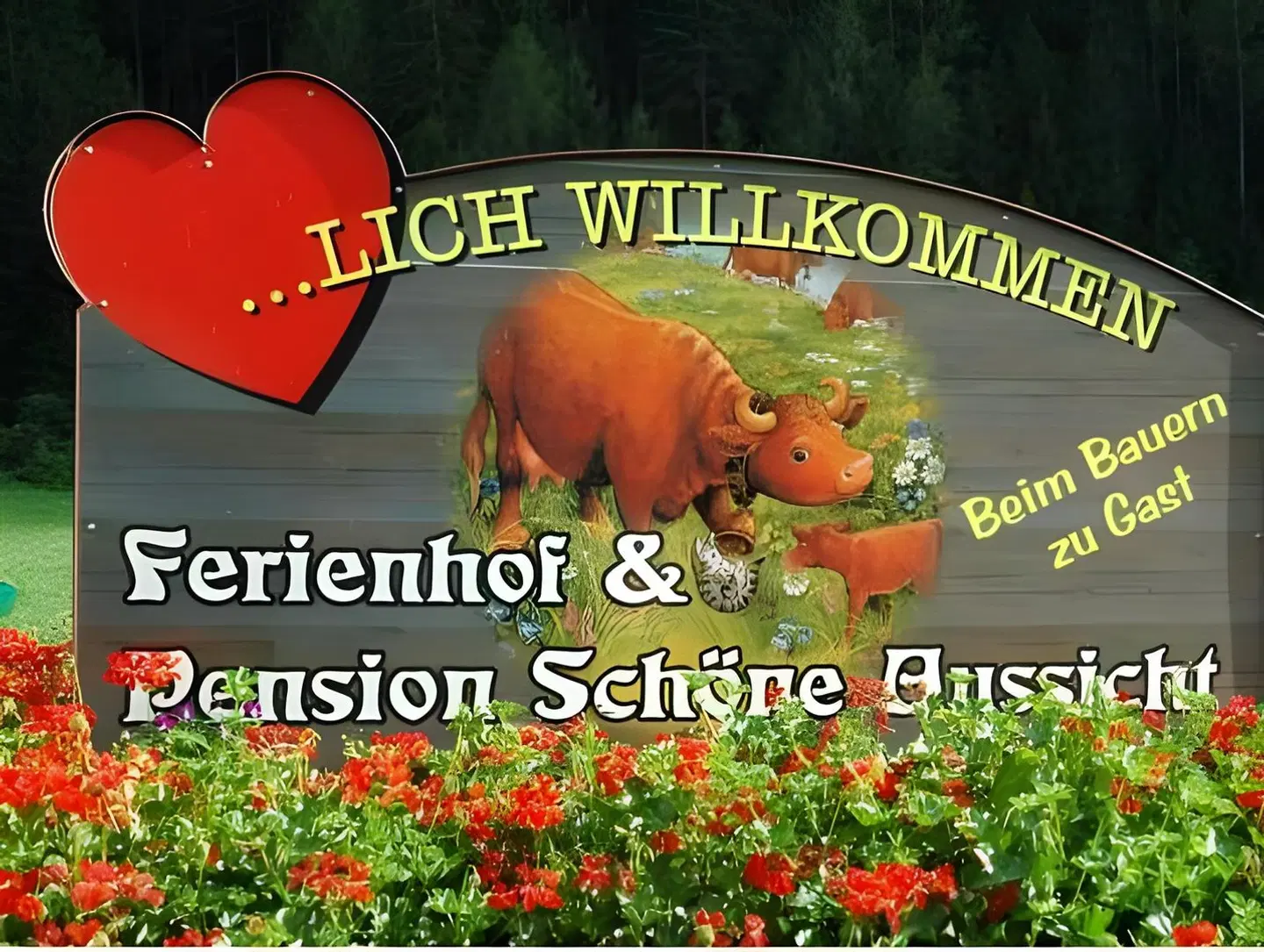 Ferienhof Schöne Aussicht Tiere