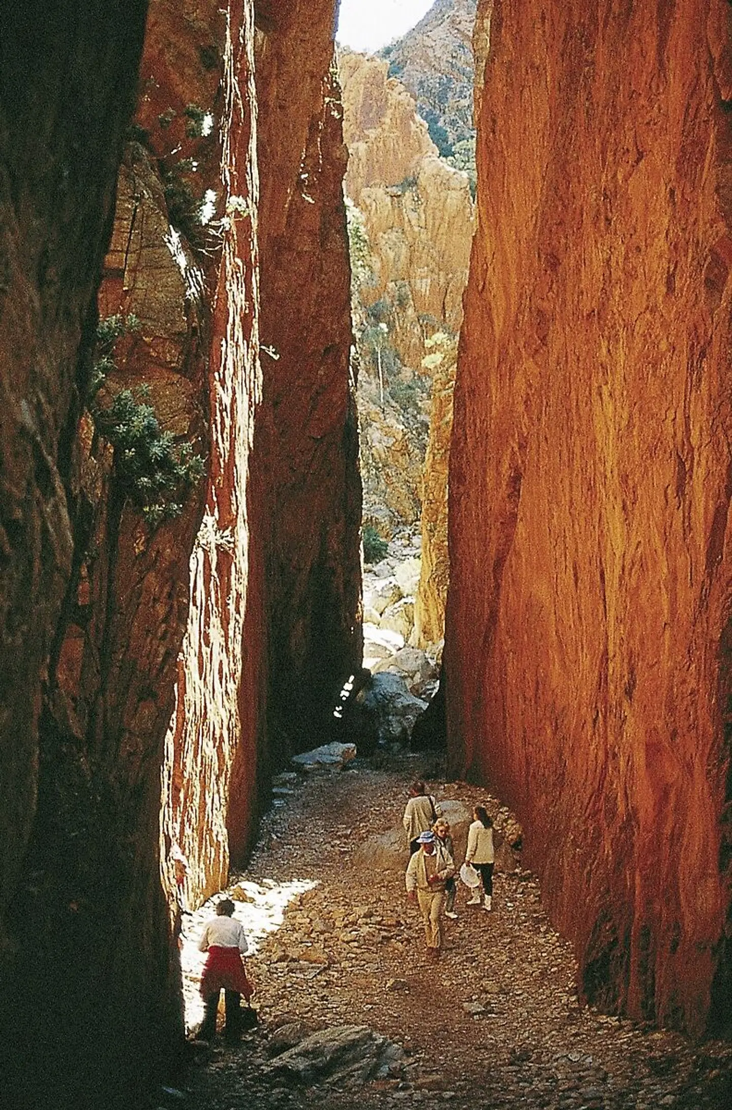 Höhepunkte des Roten Zentrums HEALTH_BEAUTY