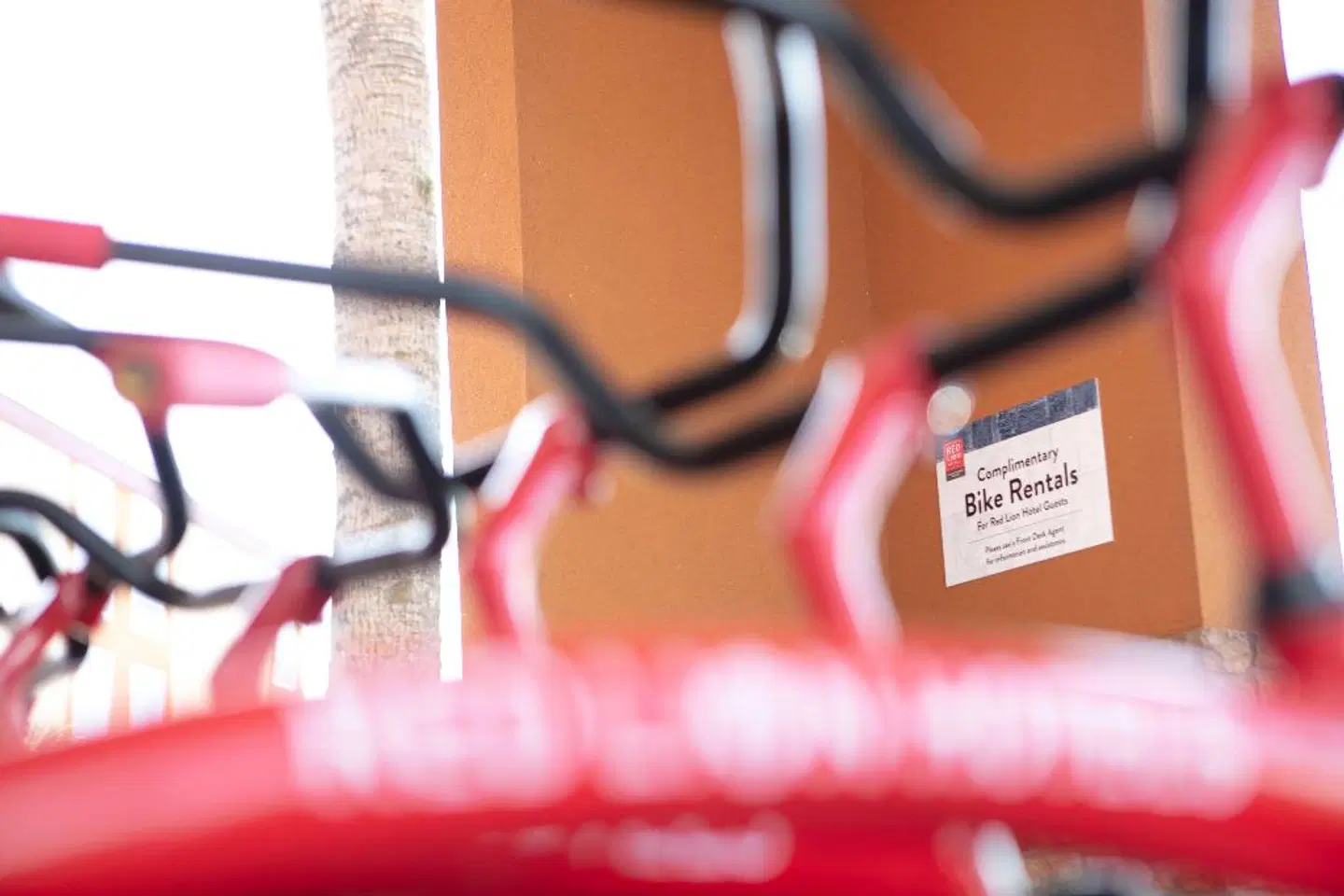 Red Lion Hotel Orlando Lake Buena Vista South Tiere