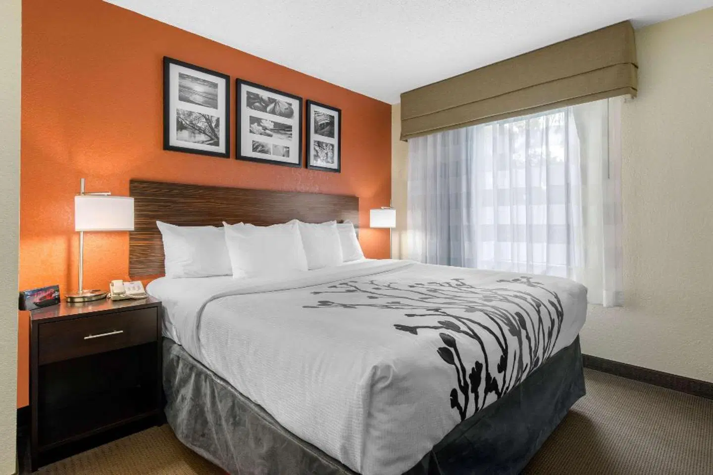 Sleep Inn Sarasota North ROOM_EXAMPLE