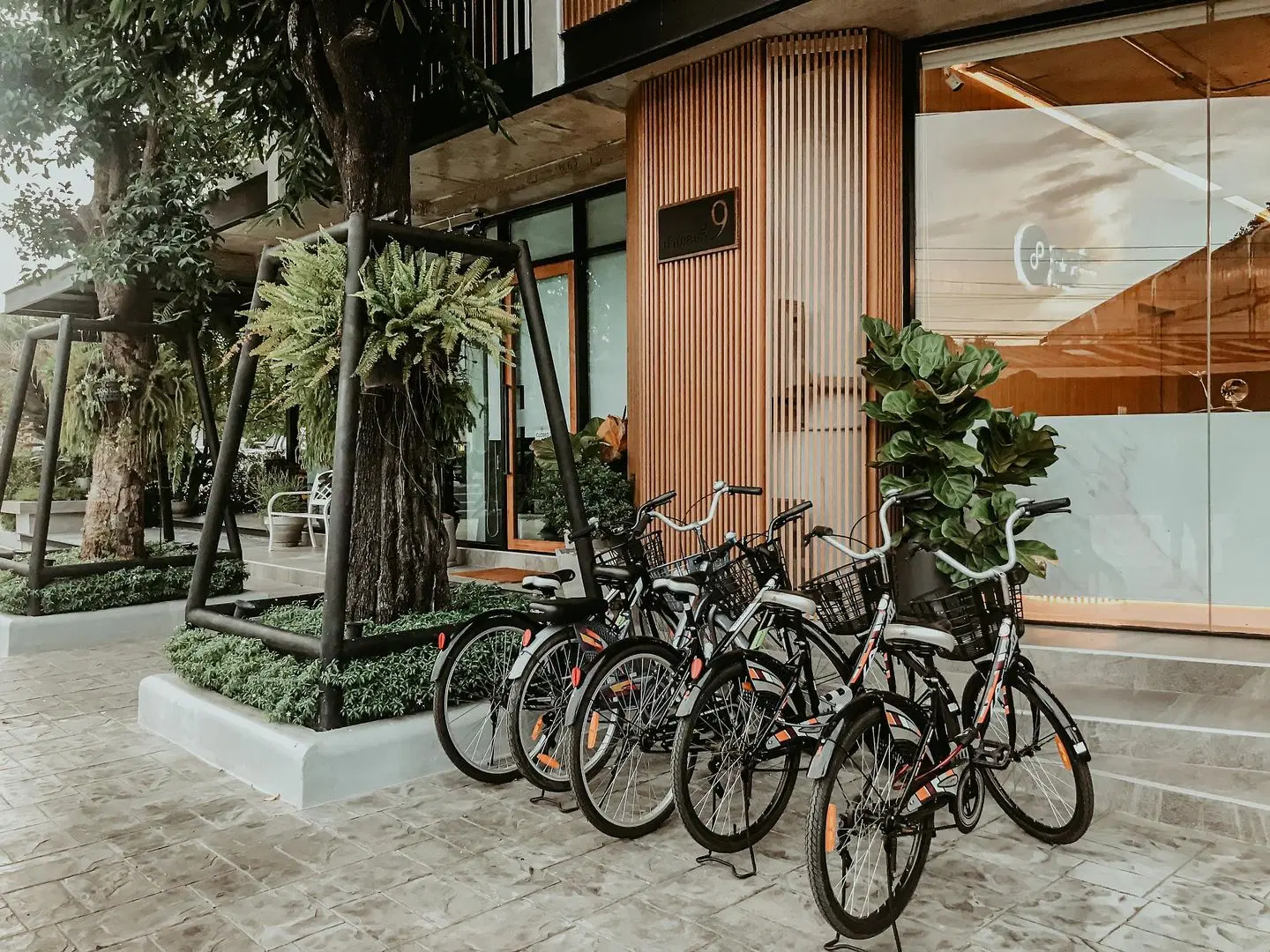 Ananzitra Hotel Terrasse