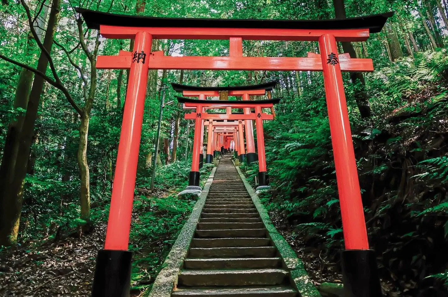 Japan Kaleidoskop (nur Landprogramm) Garten