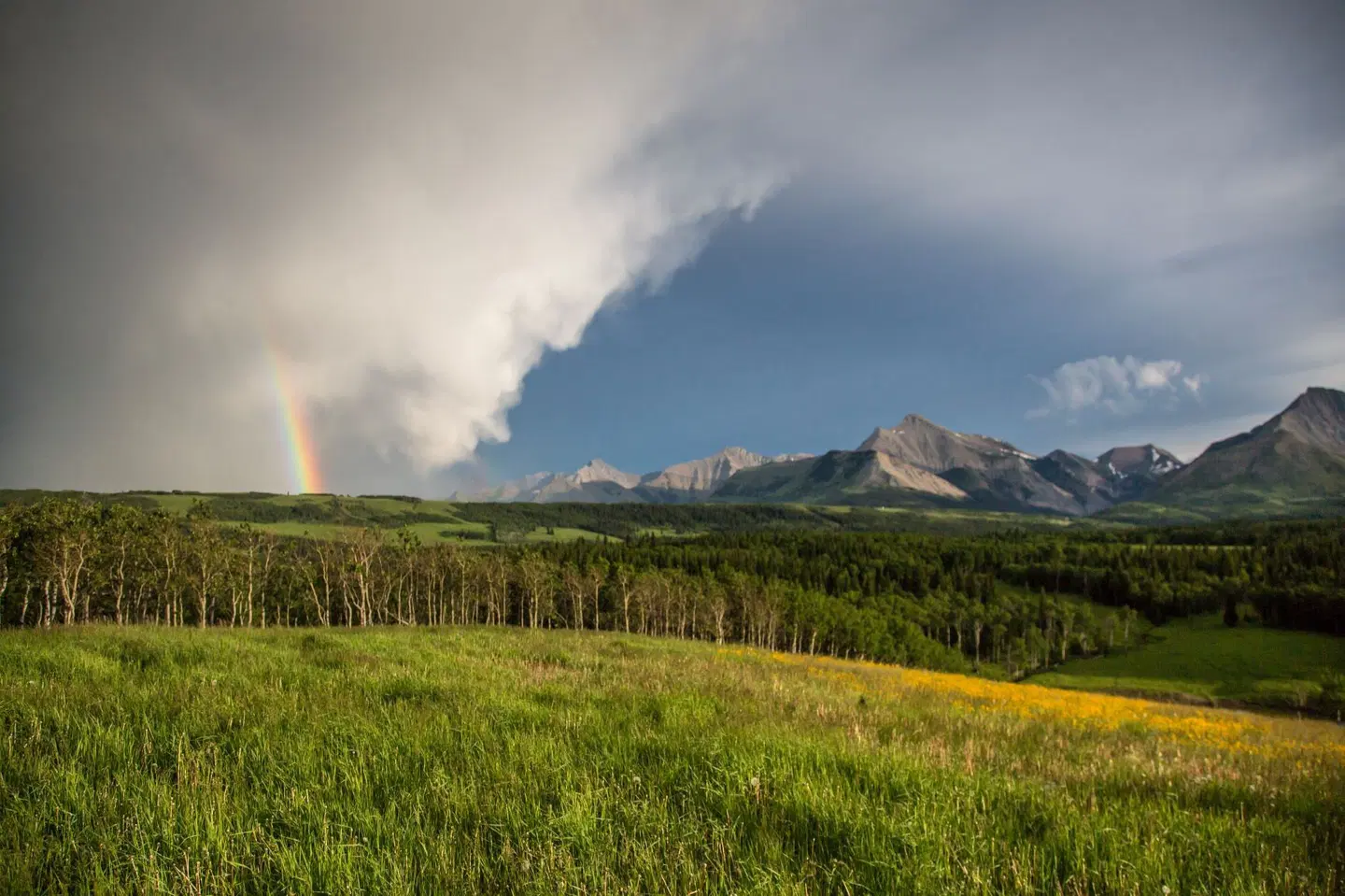 Thanksgiving Ranch Pincher Creek LANDSCAPE