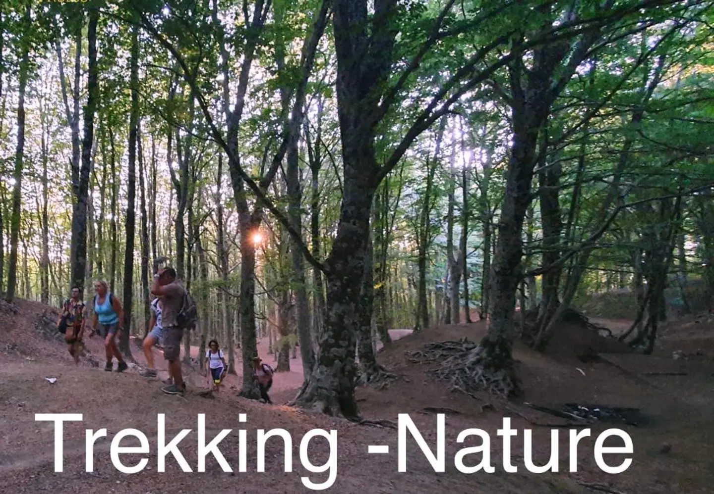 Villa Poseidon Maison De Charme LANDSCAPE