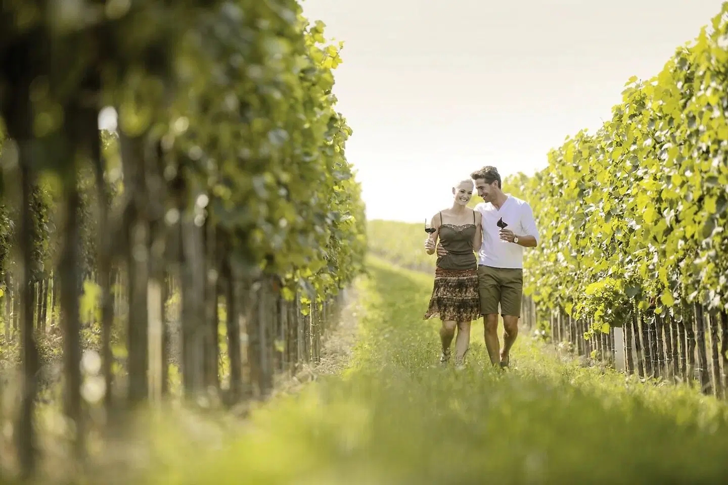 Donau-Radweg - Der Radklassiker LANDSCAPE