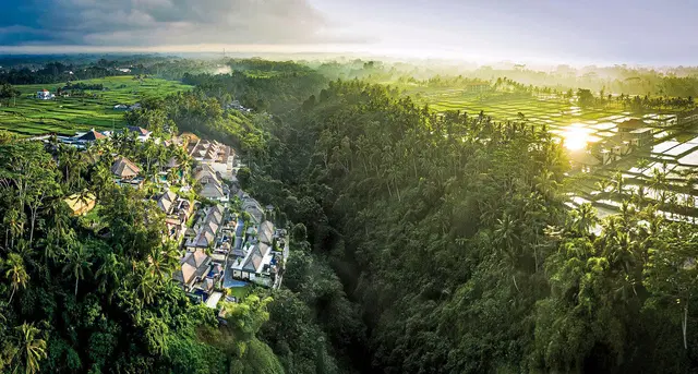 Viceroy Bali LANDSCAPE