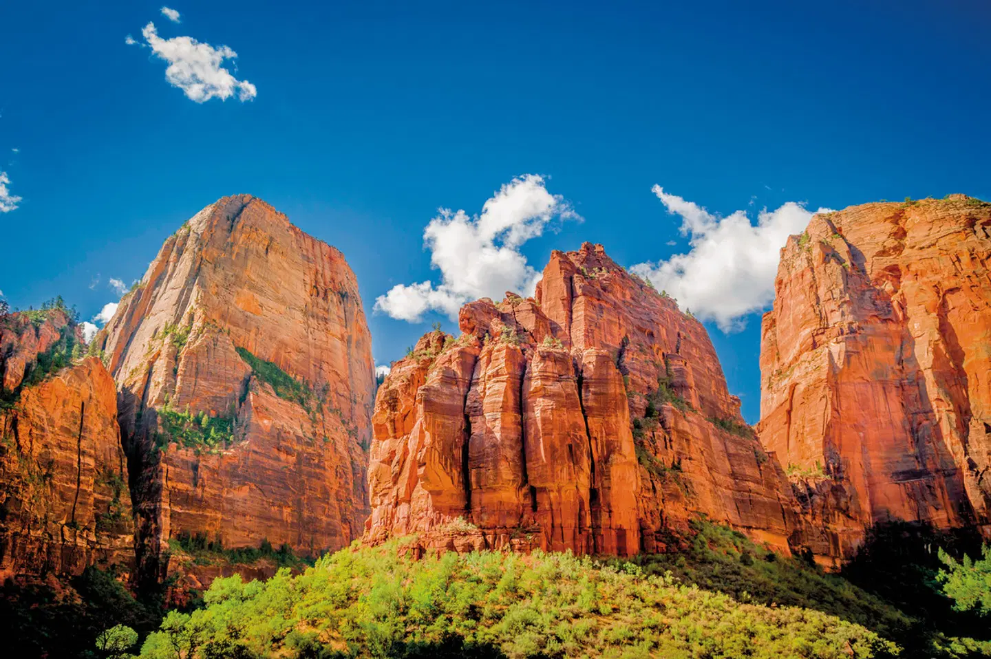 Western Deserts LANDSCAPE