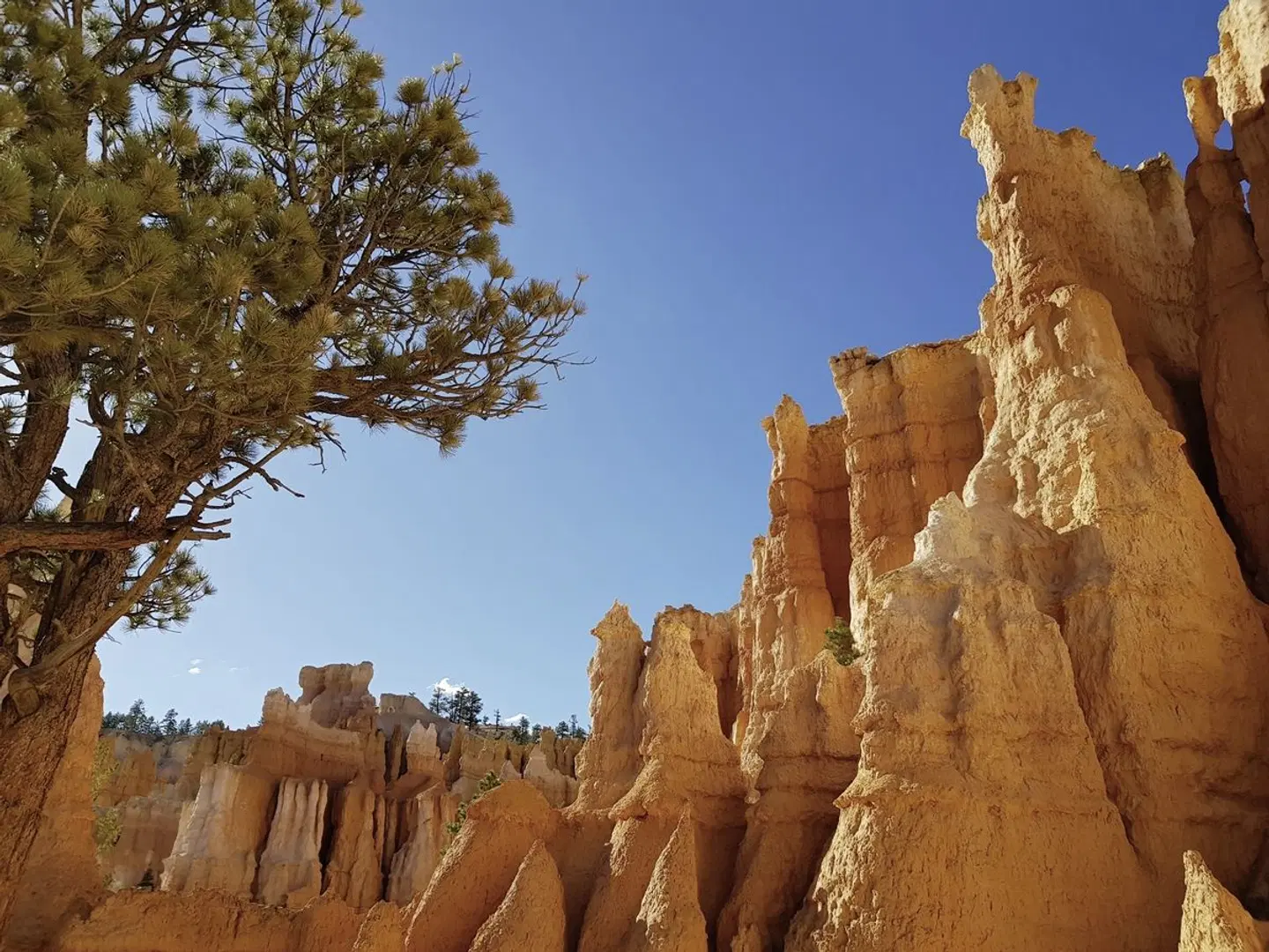 Western Deserts LANDSCAPE