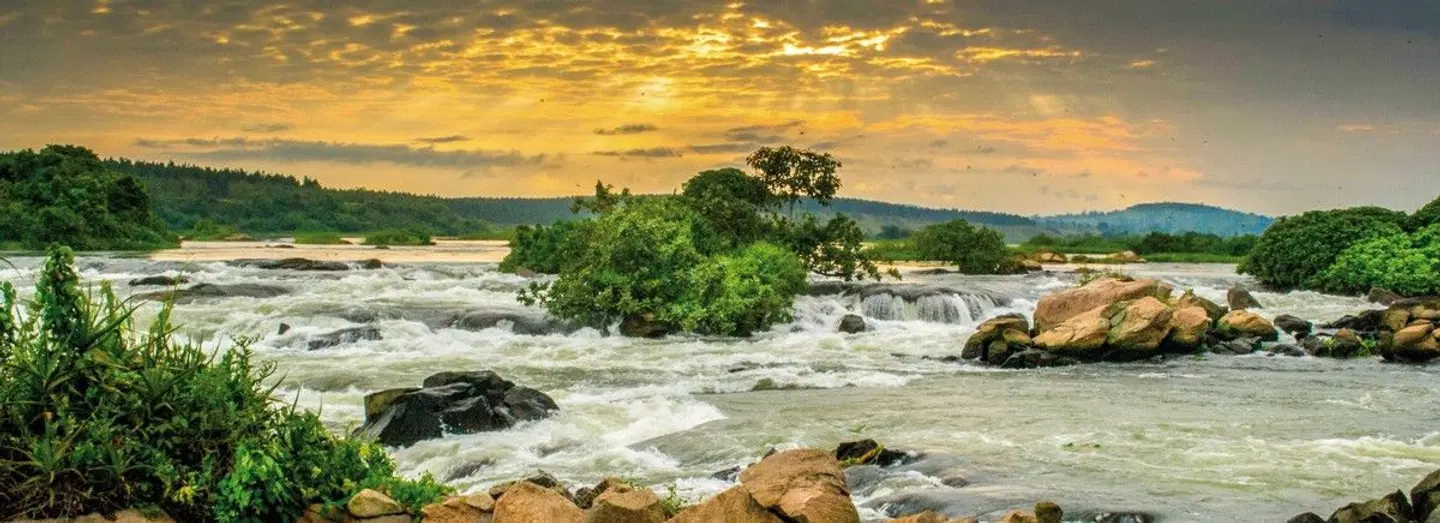 Uganda Entdecken Garten