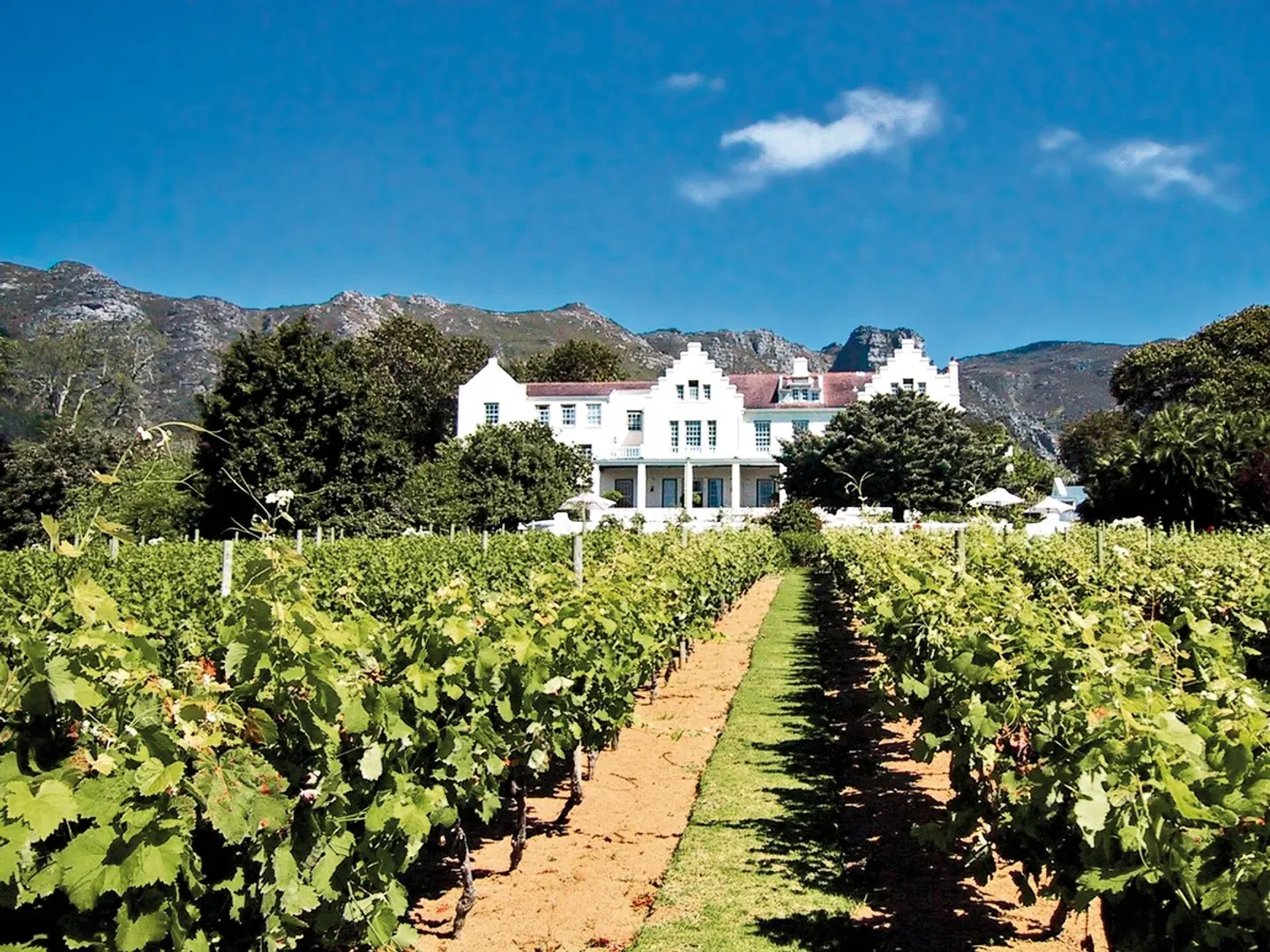 Cape In Style (ab Gqeberha (Port Elizabeth)/bis Kapstadt) Garten