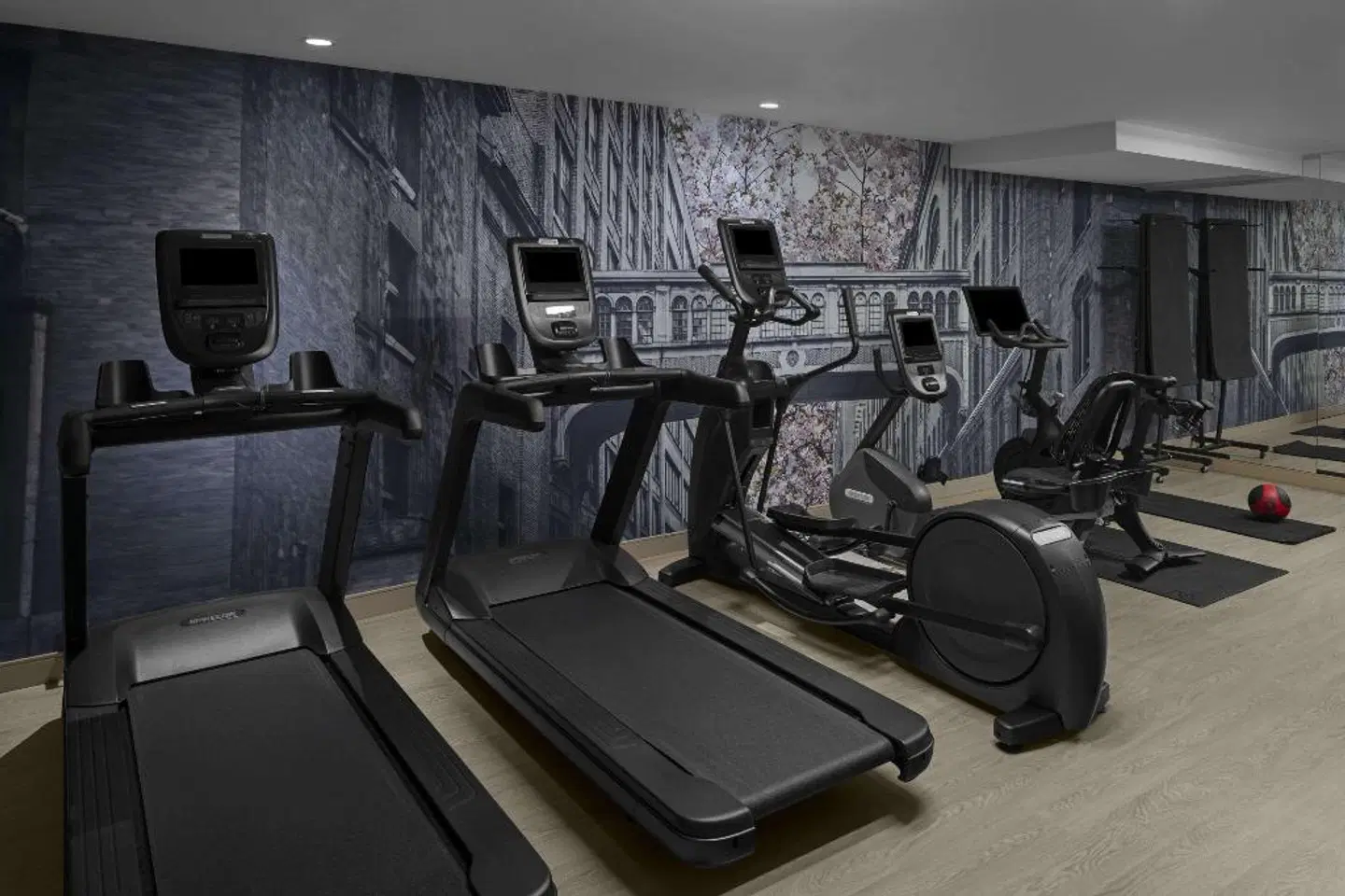 Cambria Hotel & Suites New York - Chelsea SPORTS_AND_LEISURE