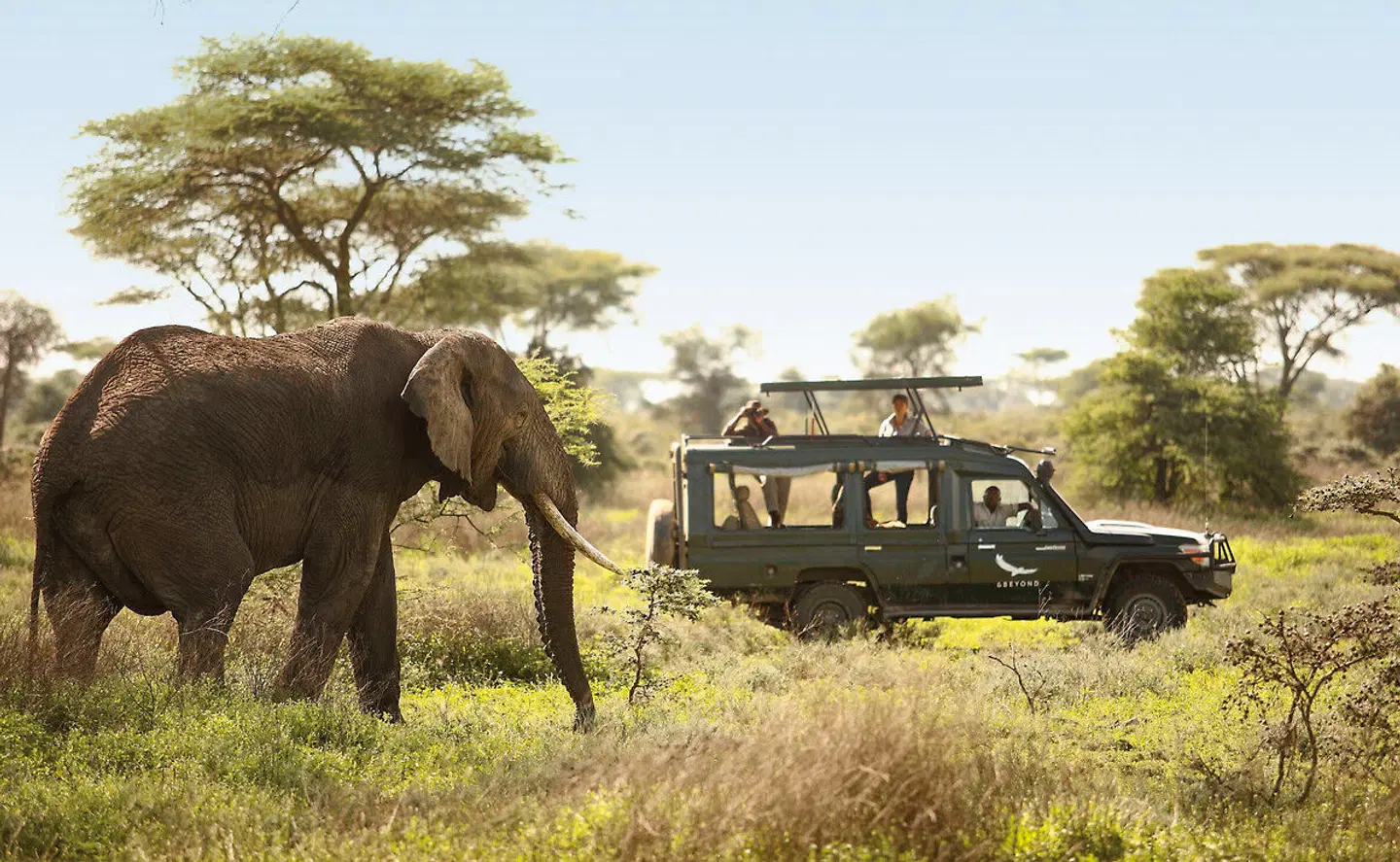 andBeyond Grumeti Serengeti River Lodge Tiere