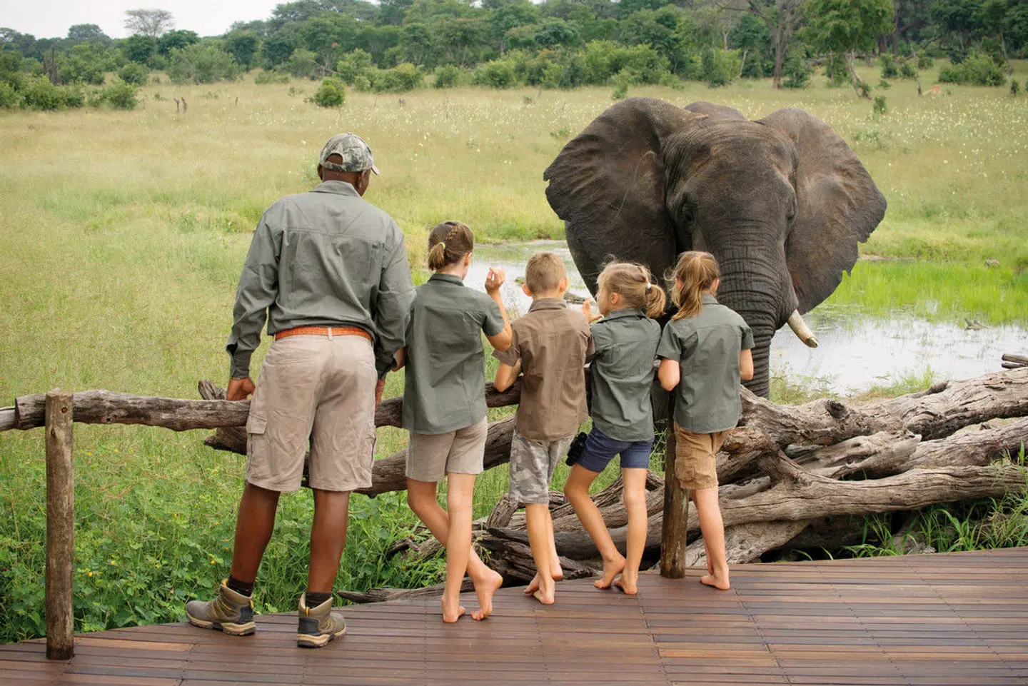 Familien Safari mit African Bush Camps Tiere