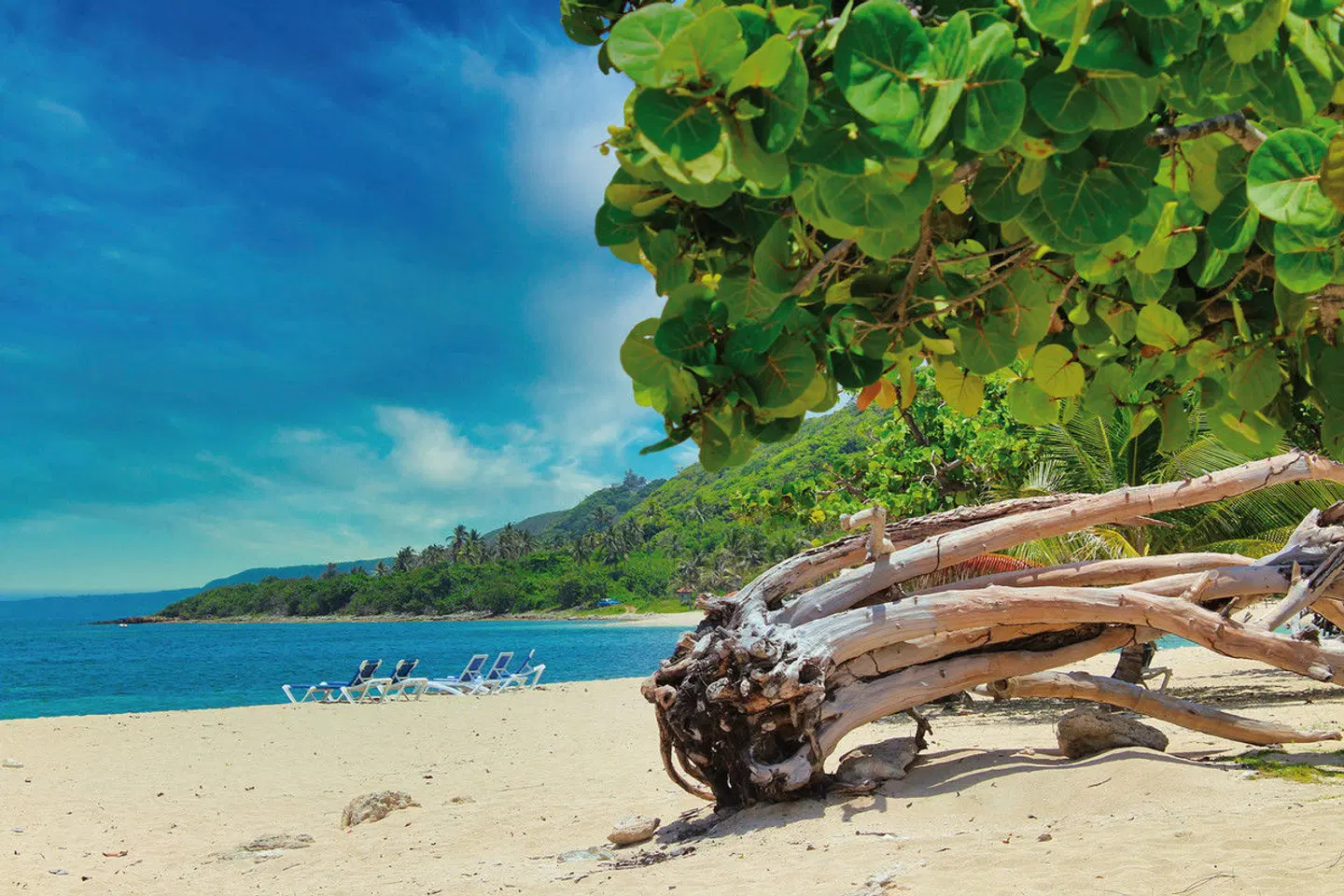 Starfish Jibacoa Strand
