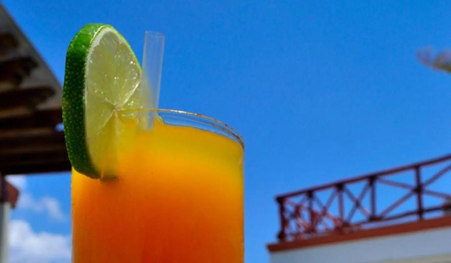 Illusion Hotel Boutique by BFH Tiere