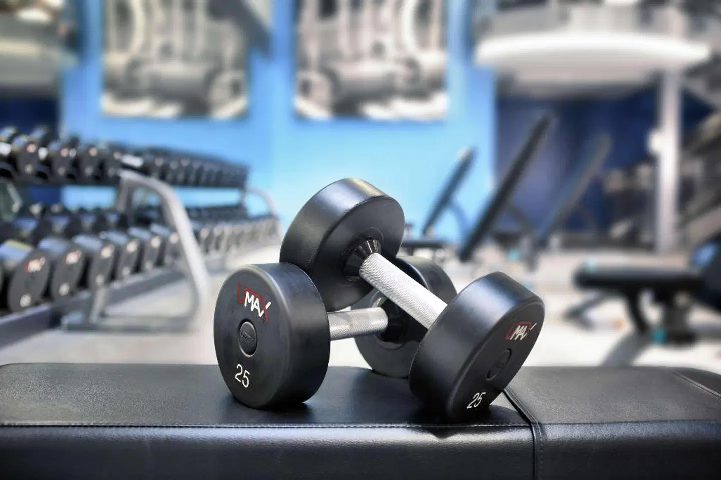 Palmer House a Hilton Hotel SPORTS_AND_LEISURE