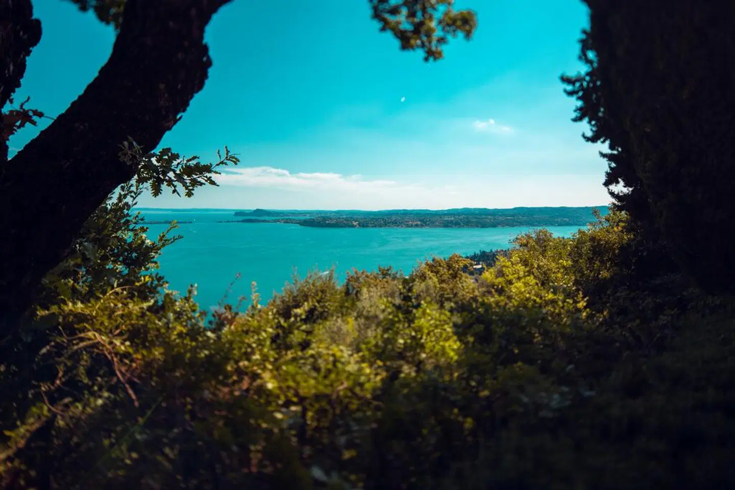 Domina Borgo degli Ulivi LANDSCAPE