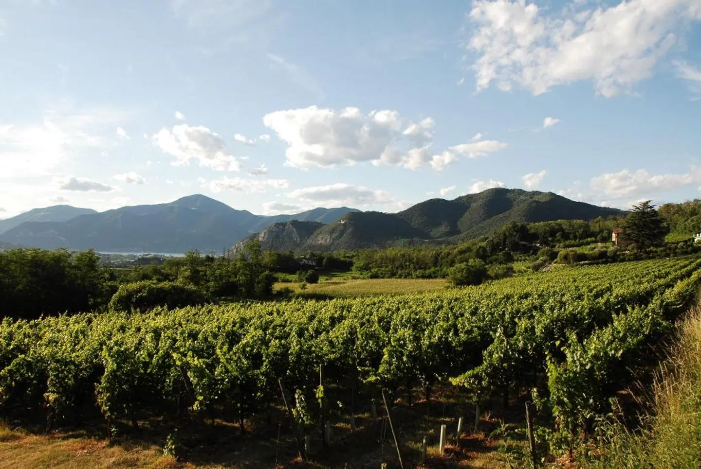 Iseolago Hotel LANDSCAPE