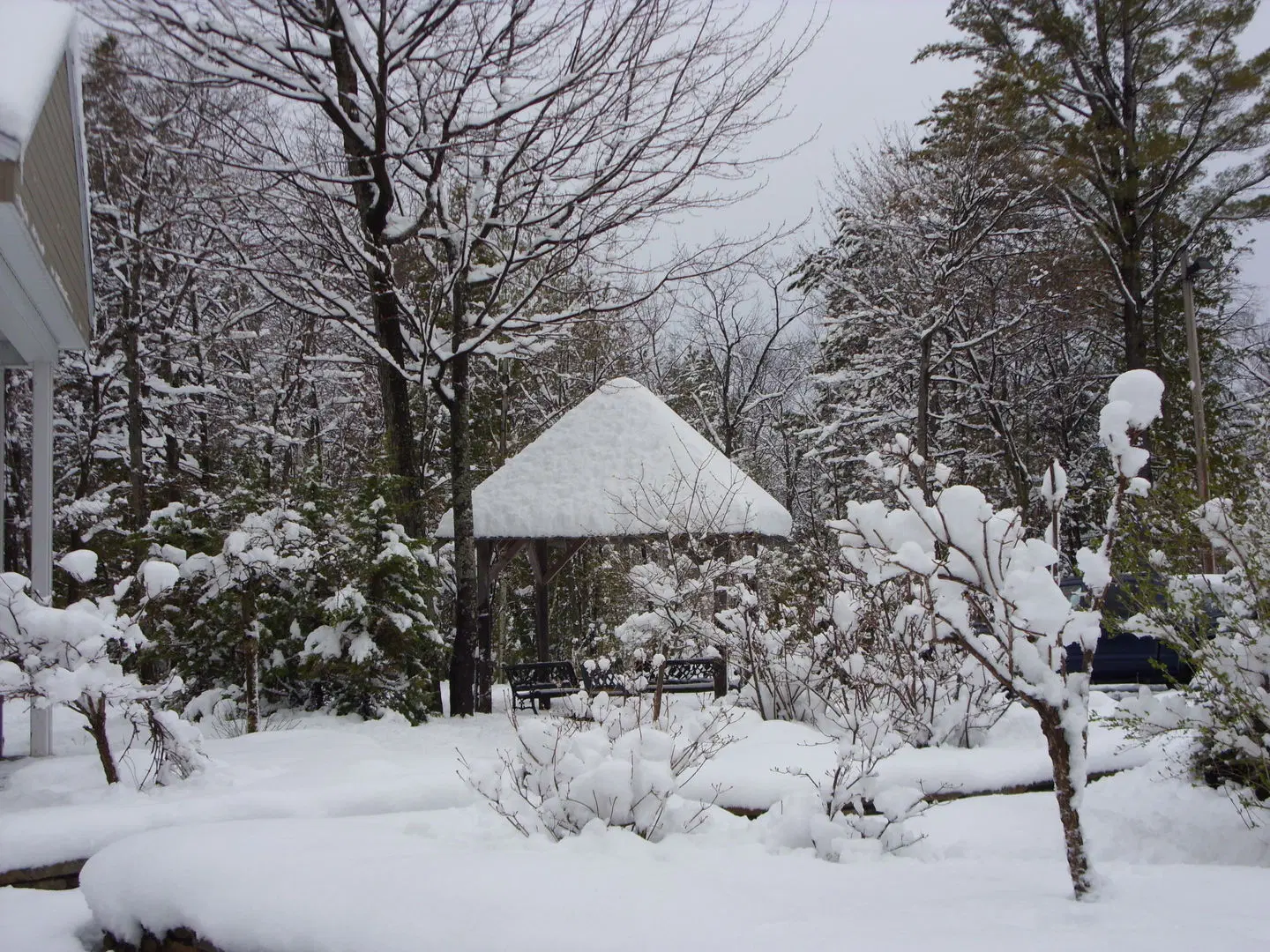 Auberge de la Montagne Coupée Tiere