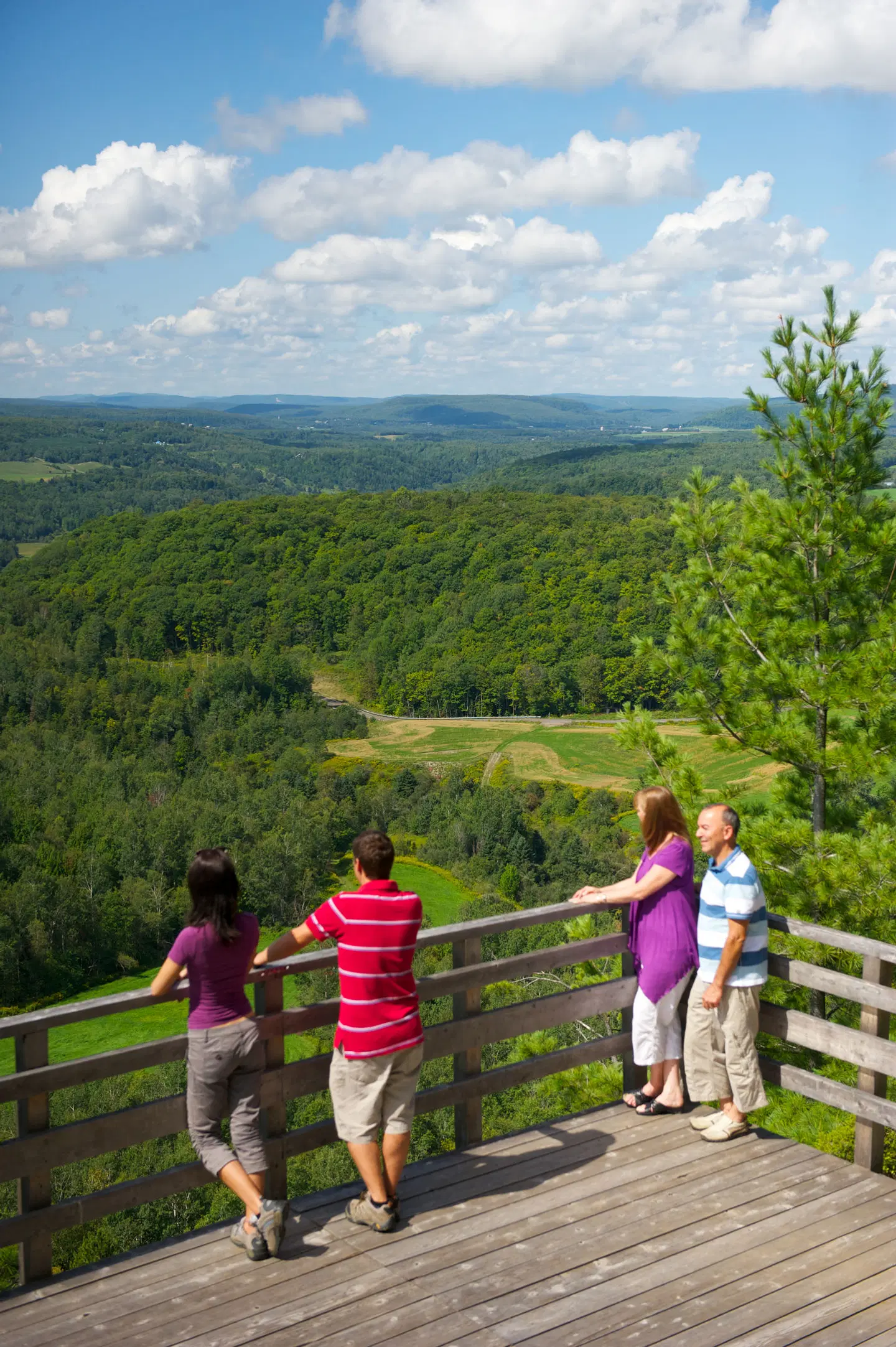 Auberge de la Montagne Coupée LANDSCAPE