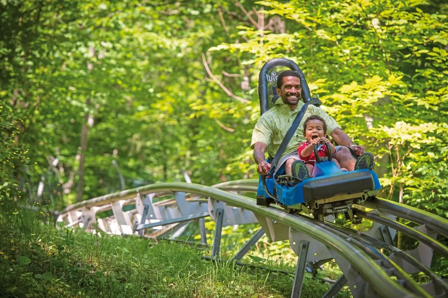 Blue Mountain Inn Garten