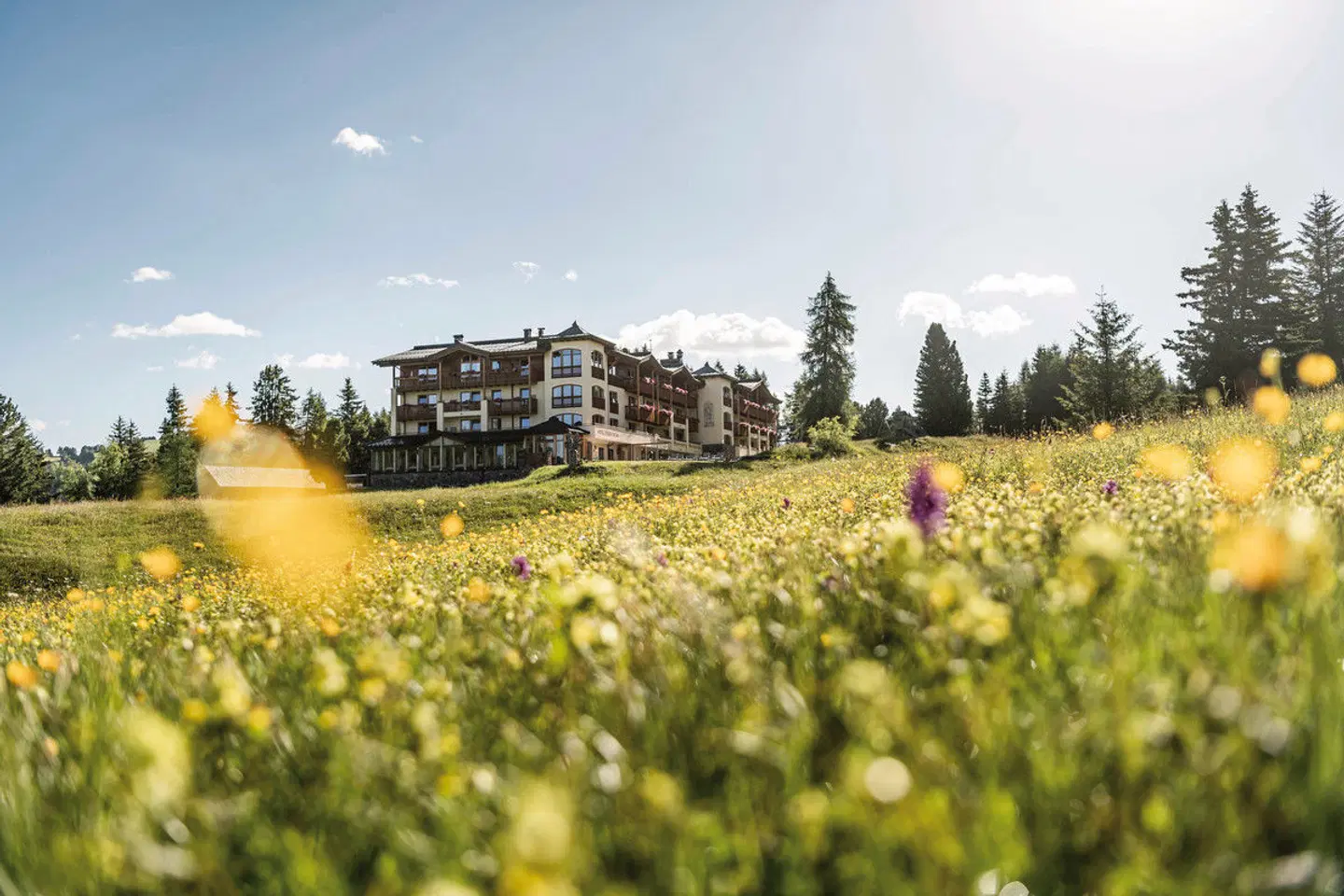 Hotel Steger-Dellai LANDSCAPE